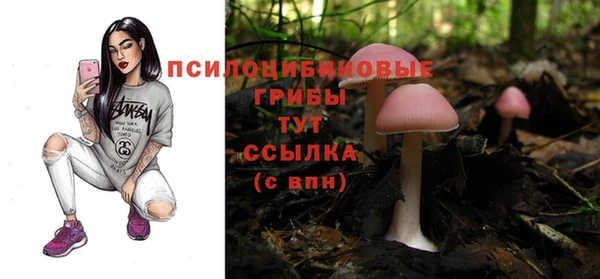 2c-b Елабуга