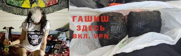гидра Ельня