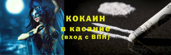 гидра Ельня