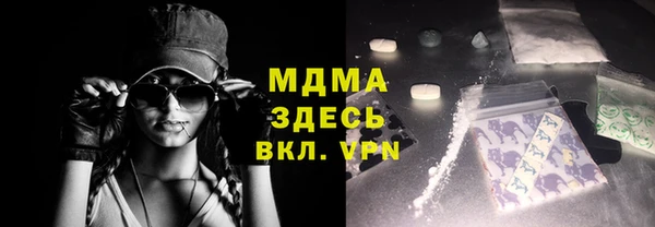 гидра Ельня