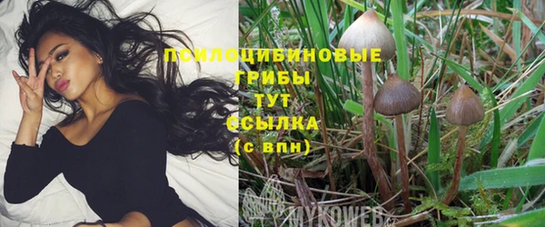 гидра Ельня