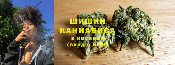гидра Ельня
