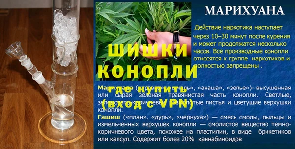 гидра Ельня
