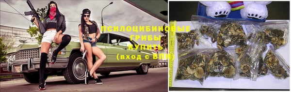 spice Заволжье