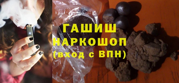 гидра Ельня